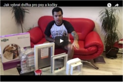 Video poradna: Ako vybrať dvierka pre psy a mačky