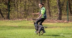 "Nie da się wytrenować psa bez wzajemnej komunikacji”: wywiad z profesjonalną kynolożką Michaelą Končulovą