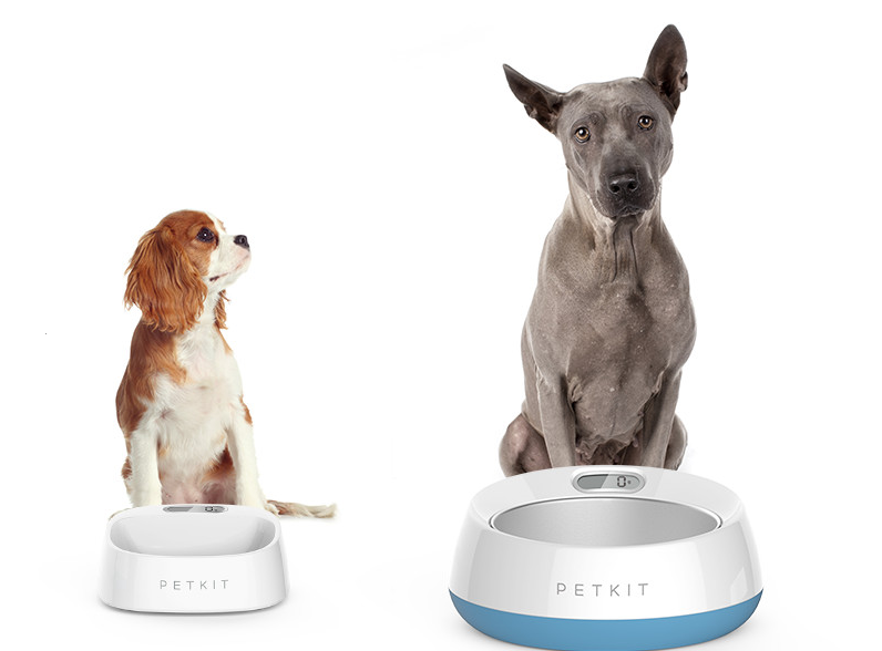 Warmth analyse Theoretical Petkit Fresh smart bowl for dogs and cats 0,45l - Bowls for dogs -  Electric-Collars.com