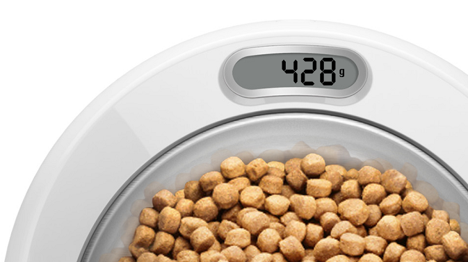 Buy Food Bowl with Digital Scale for your dog