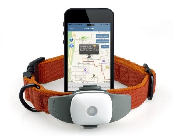 - GPS-ошейники и локаторы для собак - как выбрать подходящий?