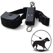 Petrainer PET899