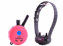 E-Collar Lady Educator ET-300-L