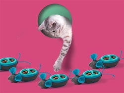 Dávkovač s hračkou Indoor Hunting: Krmte kočku zábavou i kořistí!